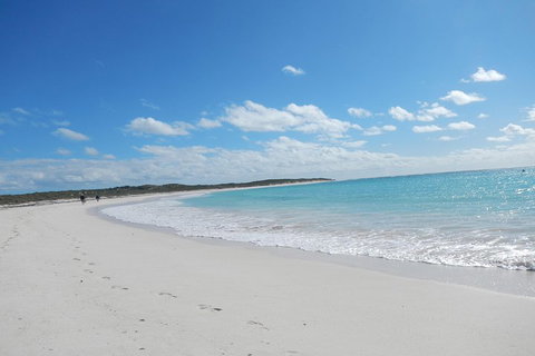 Shipwreck Special Nature Tour/Half Day Tour - Inverell Accommodation 0