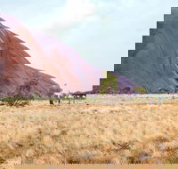 Uluru Sunrise and Guided Base Walk - Inverell Accommodation