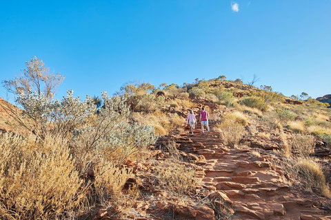 Kings Canyon Guided Rim Walk - Inverell Accommodation 1