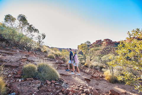 Kings Canyon Guided Rim Walk - Inverell Accommodation 5