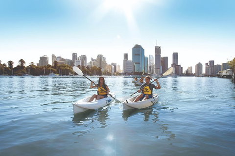 Brisbane Kayak Tour - Inverell Accommodation 0