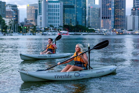Brisbane Kayak Tour - Inverell Accommodation 3