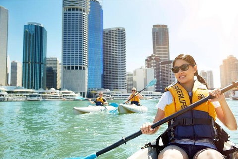 Brisbane Kayak Tour - Inverell Accommodation 5