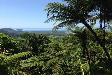 Daintree And Cape Tribulation Full Day Guided Tour - Inverell Accommodation 2