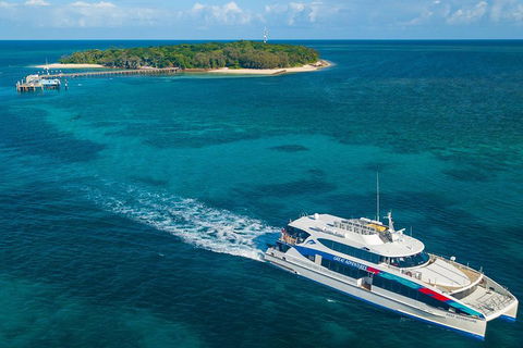Ultimate 3-Day Great Barrier Reef Cruise Pass - Inverell Accommodation 4