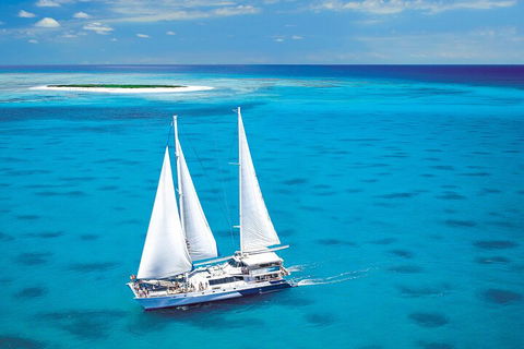 Ultimate 3-Day Great Barrier Reef Cruise Pass - Inverell Accommodation 5