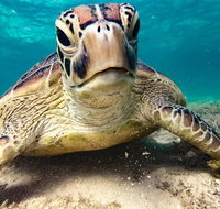 Sail Snorkel SUP  Kayak Charter Whitsundays - Inverell Accommodation