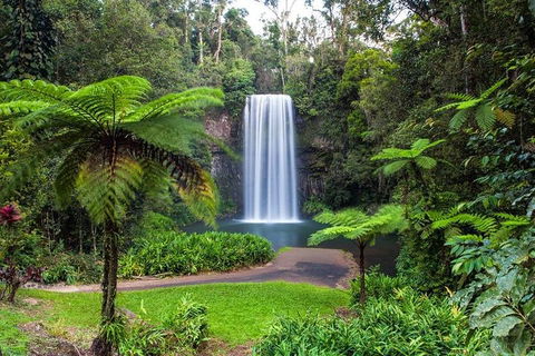 Cairns & Port Douglas All-Inclusive 7 Days Touring Package - Inverell Accommodation 2