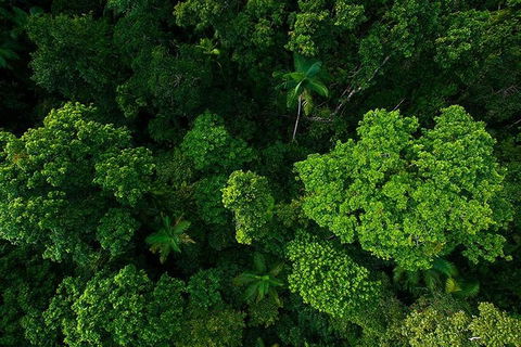 Cairns & Port Douglas All-Inclusive 7 Days Touring Package - Inverell Accommodation 4