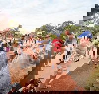 Uluru Kata Tjuta and Kings Canyon Camping Safari from Ayers Rock - Inverell Accommodation