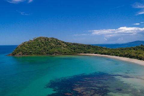 Daintree And Cape Tribulation Tour From Cairns - Inverell Accommodation 4