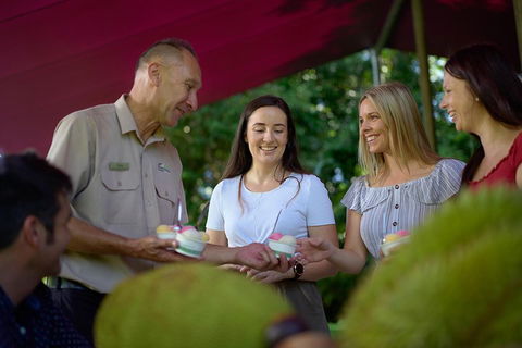 Daintree And Cape Tribulation Tour From Cairns - Inverell Accommodation 5