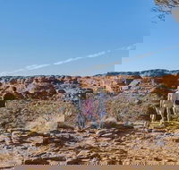 The Amazing Kings Canyon 4-Hours Walking Tour and Hike - Inverell Accommodation