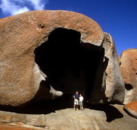 Full-Day Kangaroo Island Safari from Penneshaw - Inverell Accommodation