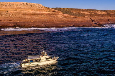 Kalbarri Sunset Coastal Cliff Cruise - Inverell Accommodation 4