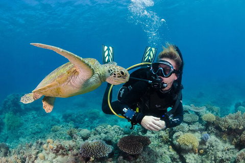 Silverswift Outer Great Barrier Reef Dive And Snorkel Cruise From Cairns - Inverell Accommodation 2