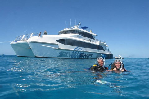 Silverswift Outer Great Barrier Reef Dive And Snorkel Cruise From Cairns - Inverell Accommodation 4