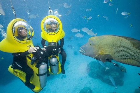 Great Barrier Reef Adventure From Cairns - Inverell Accommodation 2