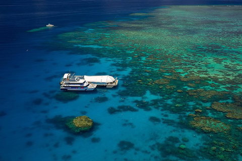 Great Barrier Reef Adventure From Cairns - Inverell Accommodation 4