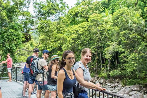 Cape Tribulation, Mossman Gorge, And Daintree Rainforest Day Trip From Cairns Or Port Douglas - Inverell Accommodation 0