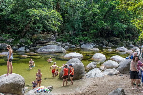 Cape Tribulation, Mossman Gorge, And Daintree Rainforest Day Trip From Cairns Or Port Douglas - Inverell Accommodation 1