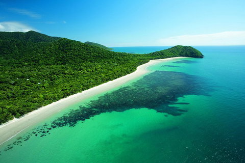 Cape Tribulation, Mossman Gorge, And Daintree Rainforest Day Trip From Cairns Or Port Douglas - Inverell Accommodation 2