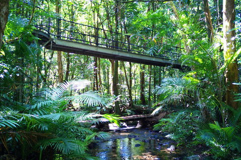 Cape Tribulation, Mossman Gorge, And Daintree Rainforest Day Trip From Cairns Or Port Douglas - Inverell Accommodation 3