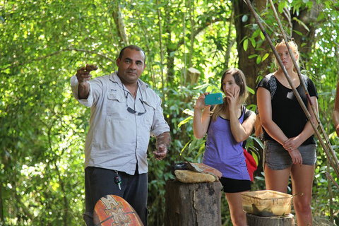 Cape Tribulation, Mossman Gorge, And Daintree Rainforest Day Trip From Cairns Or Port Douglas - Inverell Accommodation 4