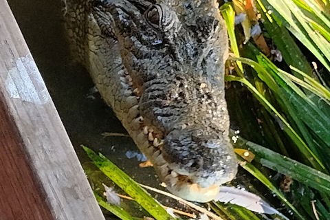 Litchfield Park Adventures And Jumping Crocodile Cruise + Butterfly Farm - Inverell Accommodation 1