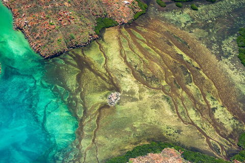 Fly The Falls Tour - Inverell Accommodation 0