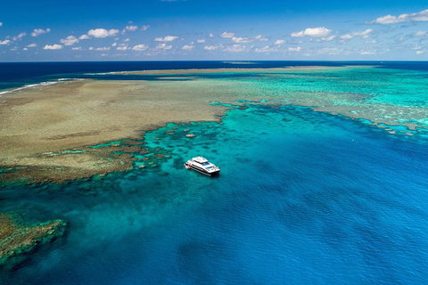 Calypso Outer Great Barrier Reef Cruise From Port Douglas - Inverell Accommodation 1