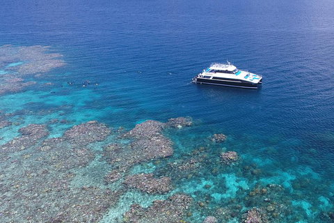 Calypso Outer Great Barrier Reef Cruise From Port Douglas - Inverell Accommodation 4