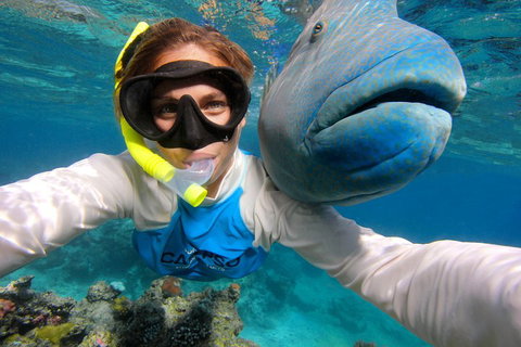 Calypso Outer Great Barrier Reef Cruise From Port Douglas - Inverell Accommodation 5