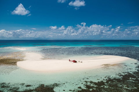 Private Helicopter Tour: Reef Island Snorkeling And Gourmet Picnic Lunch - Inverell Accommodation 4