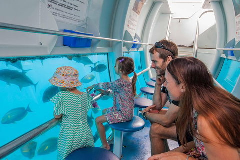 Scenic Helicopter Flight To Moore Reef And Return Snorkeling Cruise From Cairns - Inverell Accommodation 3