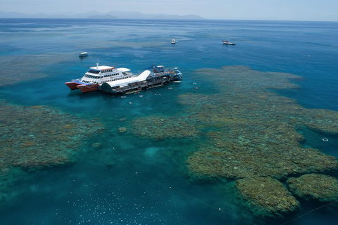 Scenic Helicopter Flight To Moore Reef And Return Snorkeling Cruise From Cairns - Inverell Accommodation 5