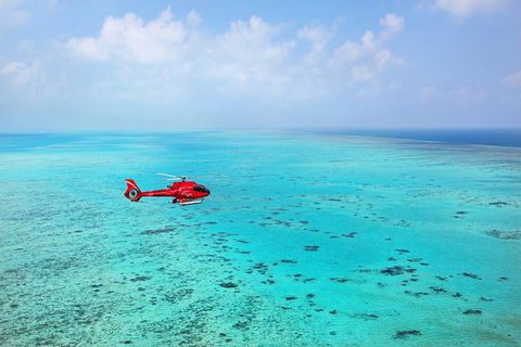 Port Douglas Scenic Flights - Inverell Accommodation 0