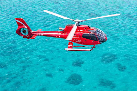 Port Douglas Scenic Flights - Inverell Accommodation 2
