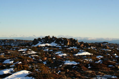 Mt. Wellington, Bonorong And Richmond Day Tour From Hobart - Inverell Accommodation 5