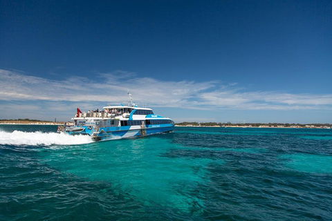 Perth To Rottnest Island Roundtrip Ferry Ticket - Inverell Accommodation 4