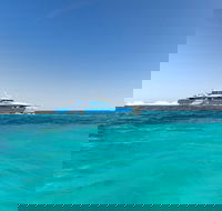 Rottnest Island Bayseeker Day Trip from Perth