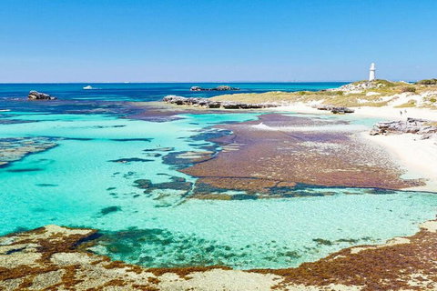 Rottnest Island Bayseeker Day Trip From Perth - Inverell Accommodation 4