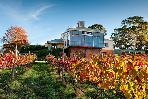 Adelaide Hills Food, Wine, Cheese, & Chocolate - Private Day Tour - Inverell Accommodation 3
