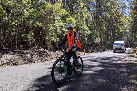 Mount Wellington Descent Cycling Tour Departs Hobart - Inverell Accommodation 3