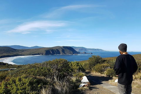 Small-Group Day Trip From Hobart To Bruny Island - Inverell Accommodation 0