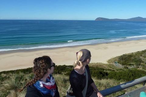 Small-Group Day Trip From Hobart To Bruny Island - Inverell Accommodation 3