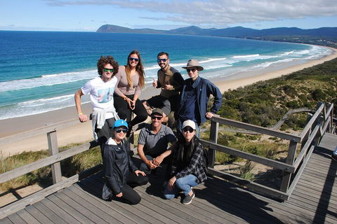 Small-Group Day Trip From Hobart To Bruny Island - Inverell Accommodation 4