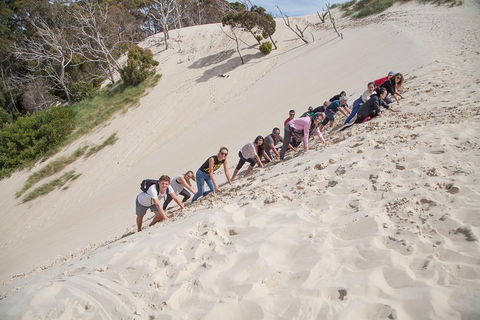 6-Day Tasmanian Explorer Adventure Tour From Hobart - Inverell Accommodation 2