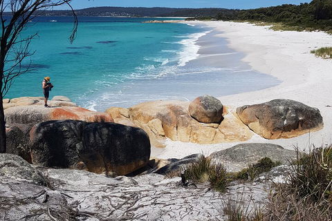 2-Day Tas East Coast Escape Tour Including Bay Of Fires, Wineglass Bay & Devils - Inverell Accommodation 4