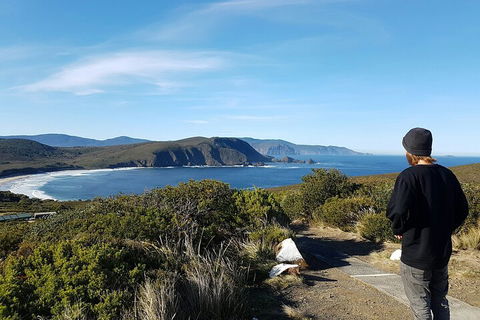 4-Day Fabulous Tasmania Tour: Wineglass Bay, Port Arthur, Devils & Bruny Island - Inverell Accommodation 0